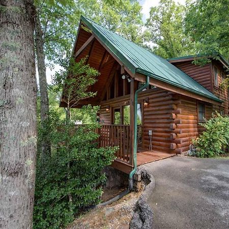 Willa Cubs Cove Gatlinburg Zewnętrze zdjęcie
