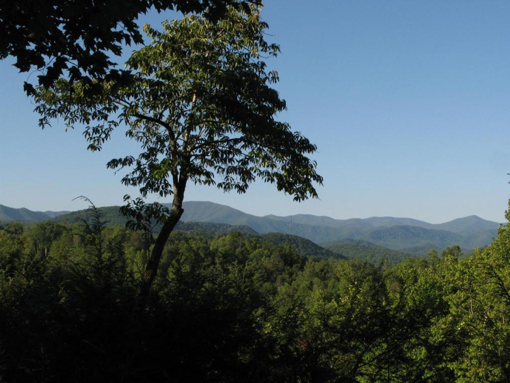 Willa Cubs Cove Gatlinburg Zewnętrze zdjęcie